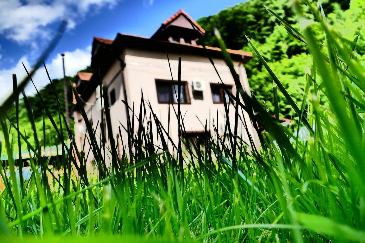 Hotel Pensiunea Roua Florilor Anina Exteriér fotografie