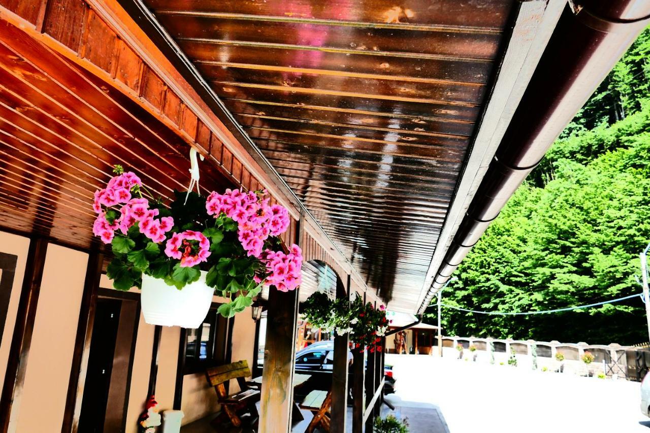 Hotel Pensiunea Roua Florilor Anina Exteriér fotografie