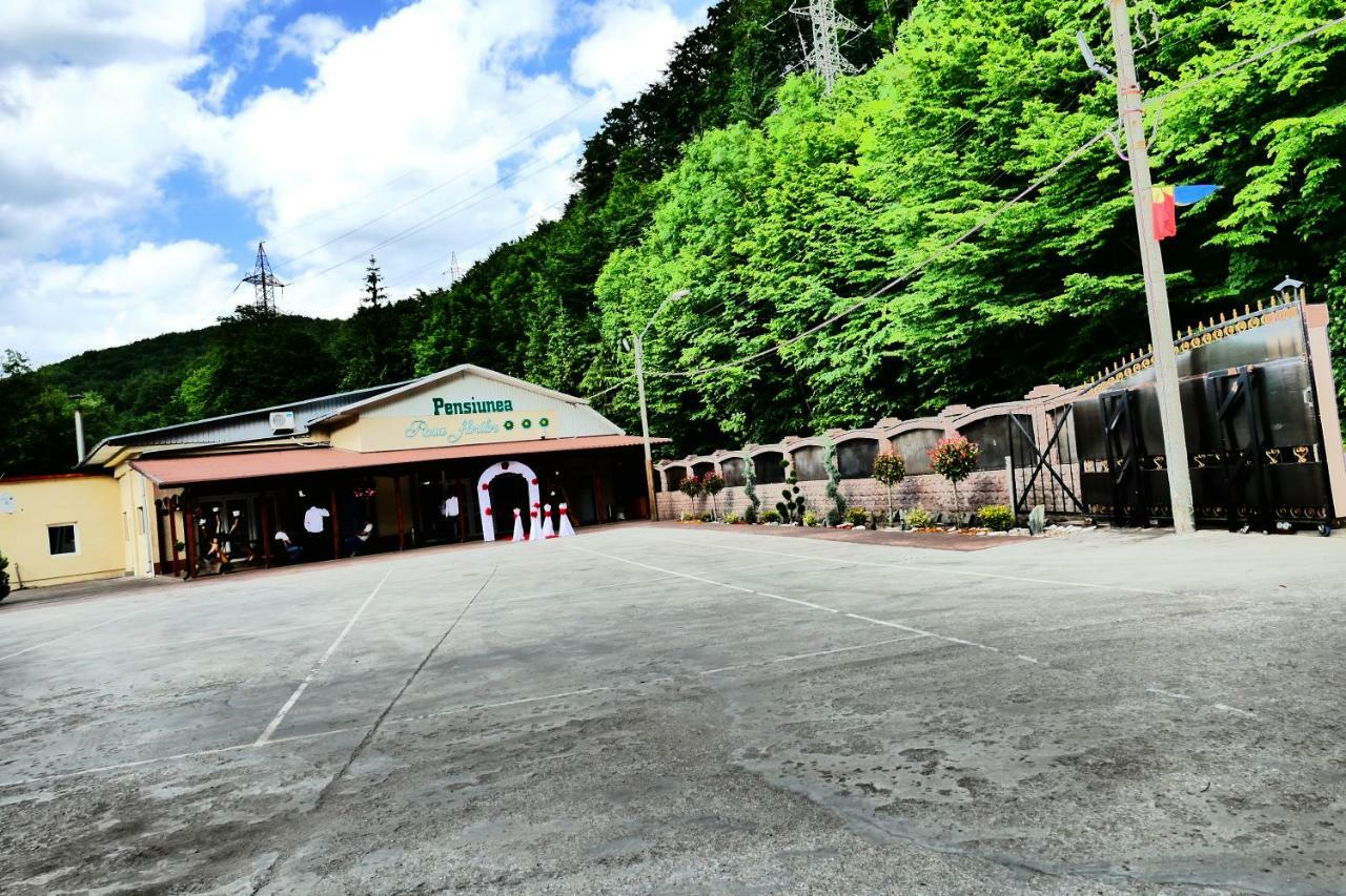 Hotel Pensiunea Roua Florilor Anina Exteriér fotografie