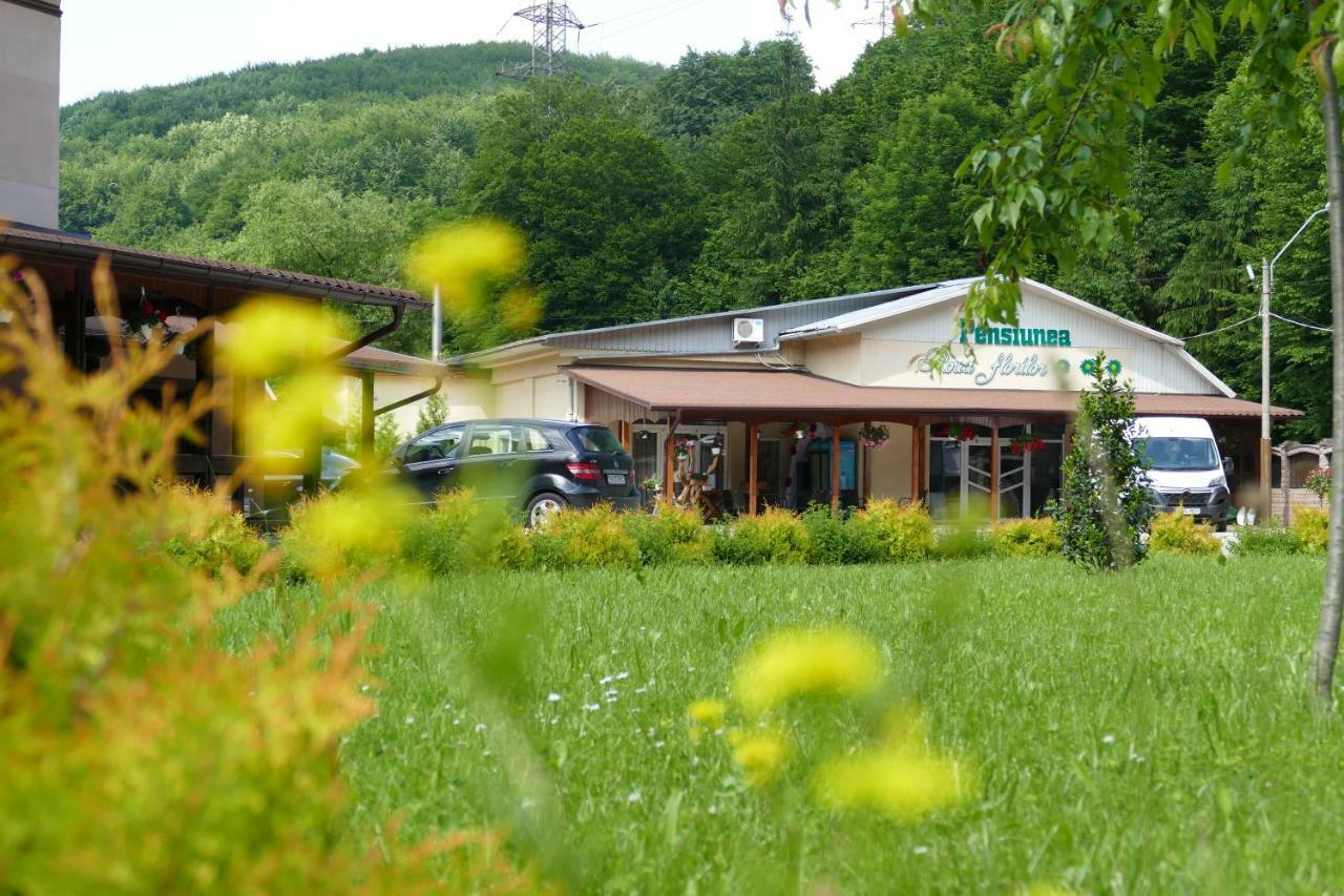 Hotel Pensiunea Roua Florilor Anina Exteriér fotografie